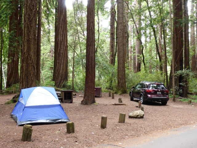 Butano State Park - 05-15-2017__0001