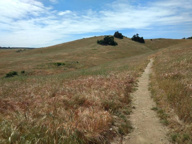 Vista Grande Trail for Web