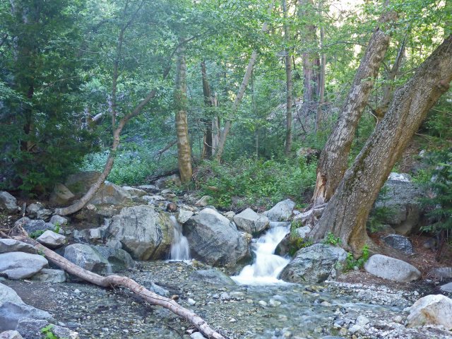 Icehouse Canyon 06-16-2017__0006_edited-1
