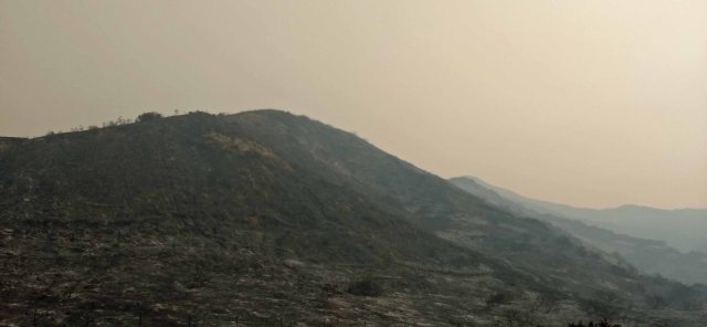 Burn Area off Hwy 101 - edited